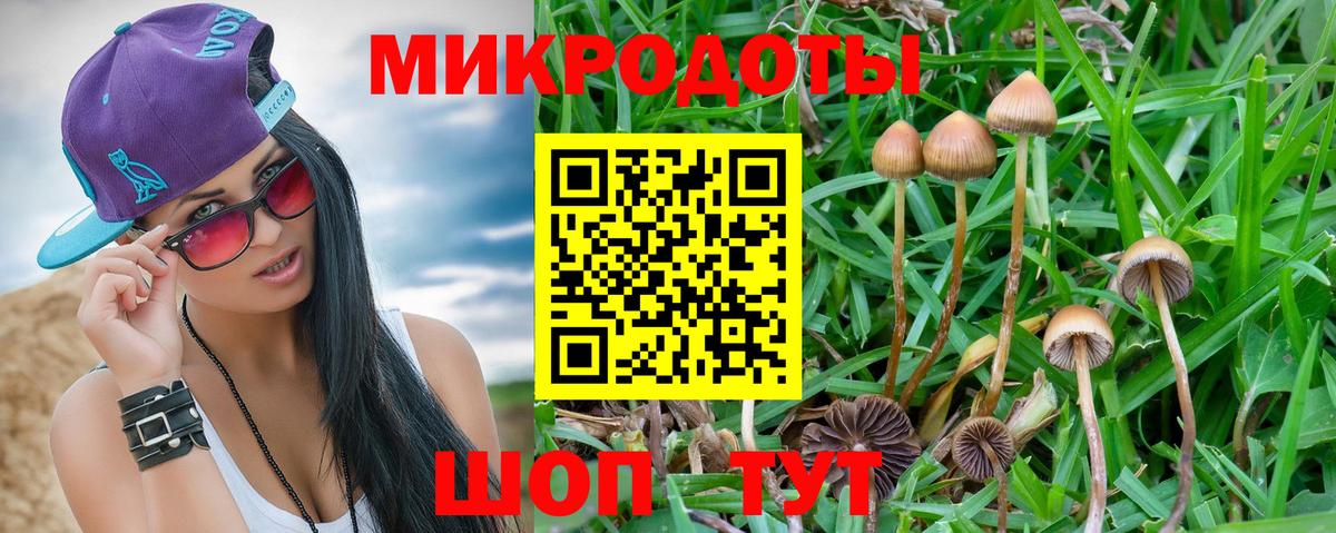 Псилоцибиновые грибы мицелий  Вход с VPN  Кирово-Чепецк 