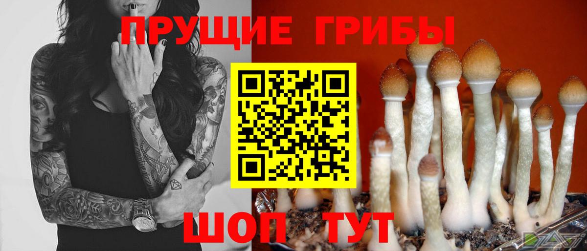 Галлюциногенные грибы Cubensis Кирово-Чепецк